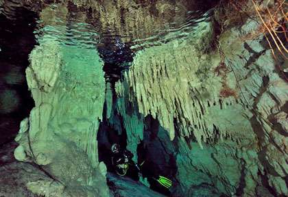 Plongée Cenotes Yucatan