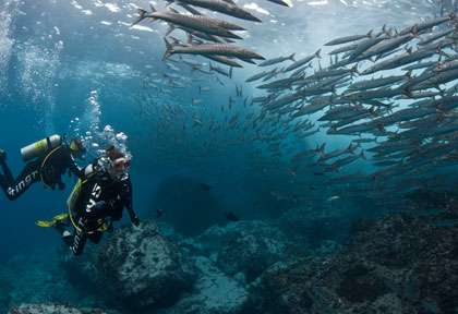 Plongée à Coiba au Panama