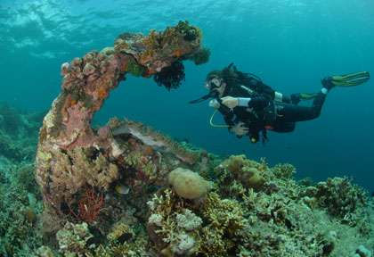 Ancre en plongée à Menjangan