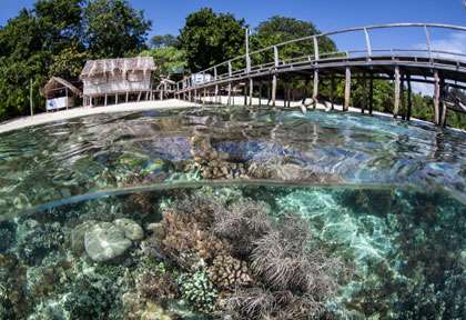 Plongée à Raja Ampat
