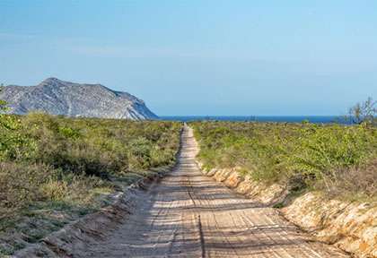 Route pour Cabo Pulmo au Mexique