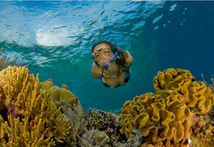 Snorkeling à Wakatobi