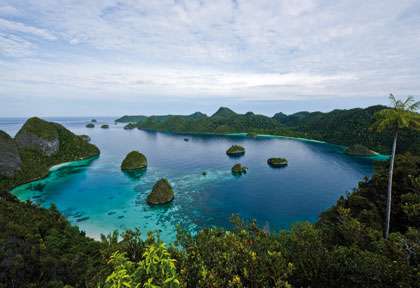 Croisière plongée Raja Ampat