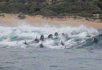 Plage de Ponta do Ouro