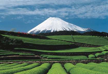 le mont fuji - japon © JTA JNTO