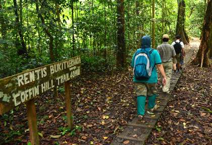 Marche dans la Dannum Valley - sabah - Borneo - Malaisie © Borneo Eco Tour