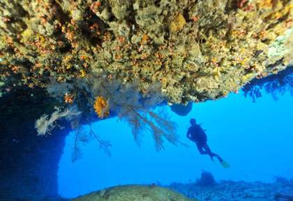 Plongée sous-marine à Mayotte