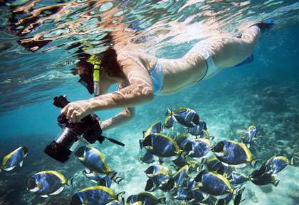 Comment utiliser votre GoPro comme une caméra de plongée sous-marine