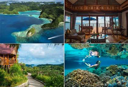 Voyage plongée à Palau