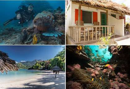 Voyage plongée aux Comores