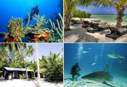 Voyage aux Bahamas à Andros