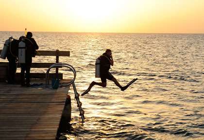 Plongée du bord en Mer Rouge