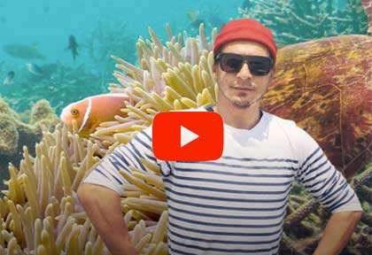 Vidéo Argonaute plongée