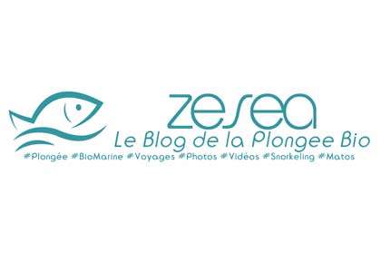Blog de plongée Anthony Leydet
