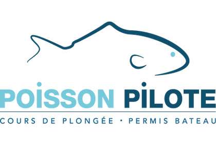 Poisson pilote à Fréjus