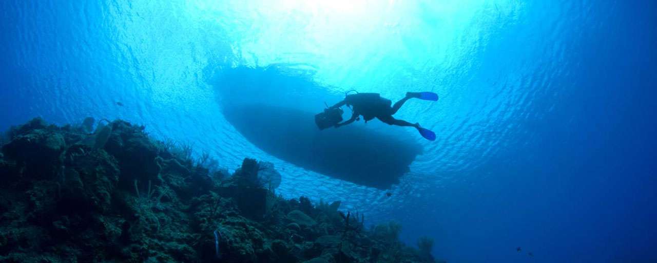 Plongée sous-marine en voyage : trois destinations incontournables