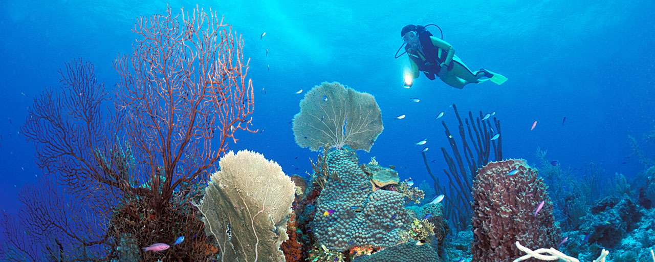 Turneffe Island Atoll © Turneffe Island Resort Dive Center