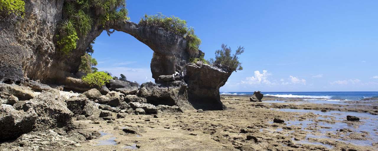 Neil Island - Iles Andaman © Shutterstock - David Evison