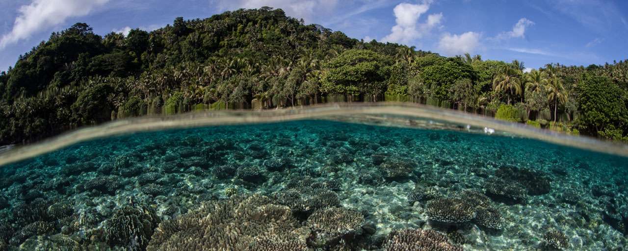 Indonésie - Moluques - Mer de Banda © Shuttertsock - Ethan Daniels