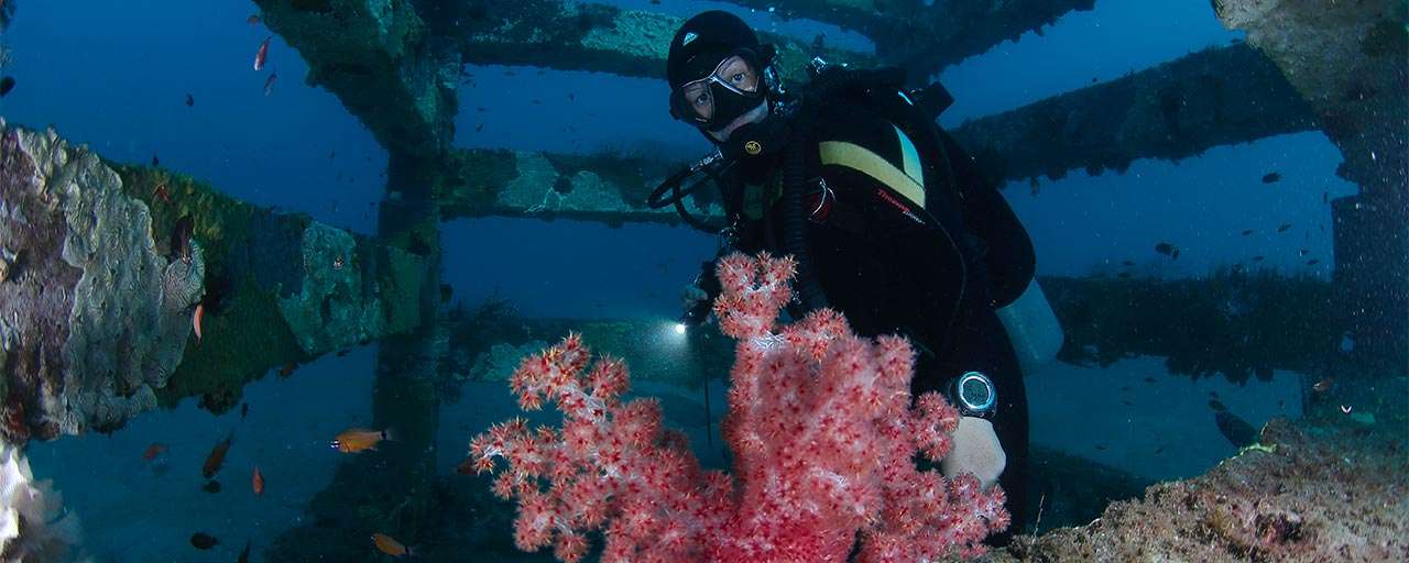 Plongée à Apo Island © Negros Divers