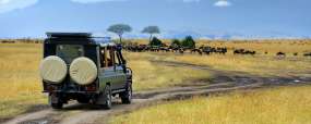 Safari au Kenya © Shutterstock - Volodymyr Burdiack