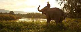 Chiang Rai - Thaïlande © Anantara Golden Triangle Elephant Camp and Resort