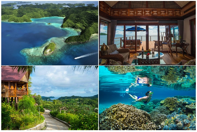 Voyage plongée à Palau
